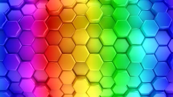 Nœuds d'abeilles colorés animés — Video