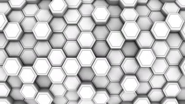 Beyaz peteğin animasyon