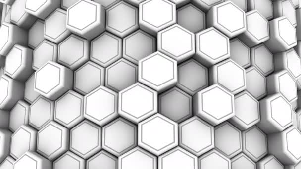 Animated White Honeycombs — Stock Video