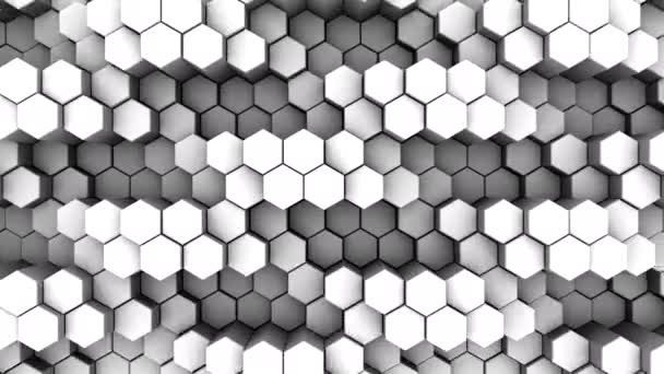 Hexagons Form Wave Abstract Motion Loop Rendering Resolution — Stock Video