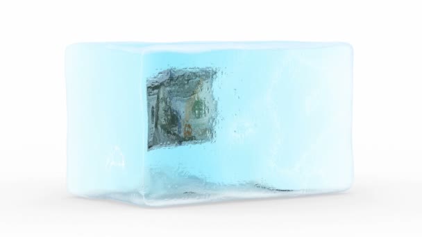 Dólar congelado en un bloque de hielo — Vídeos de Stock