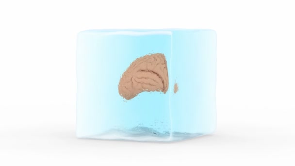Gehirn in einem Eisblock eingefroren — Stockvideo