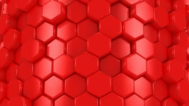 Background of Red Honeycombs — Stock Video