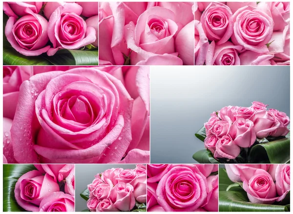 Collage di rose — Foto Stock