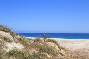 Denizin kenarında çöl