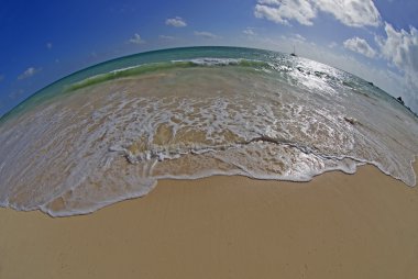 Tropikal yuvarlak dünya