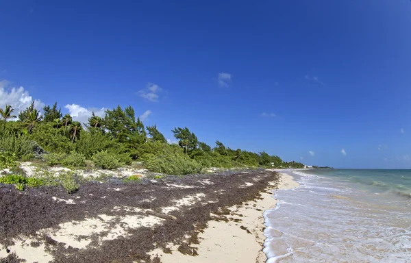 Caribbean atural disaster — Stock Photo, Image