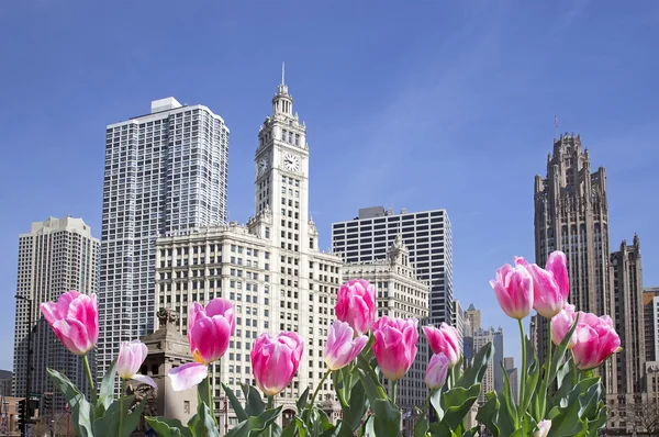 Chicago'da ilkbahar
