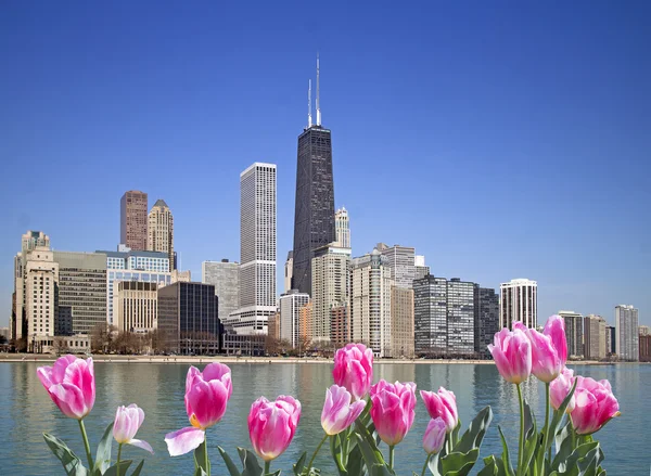 Jaro v chicago — Stock fotografie