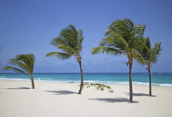 Praia do paraíso — Fotografia de Stock