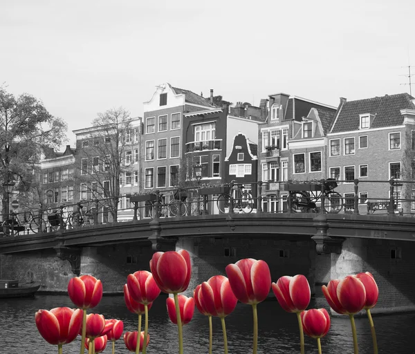 Black and white Amsterdam — Stock Photo, Image