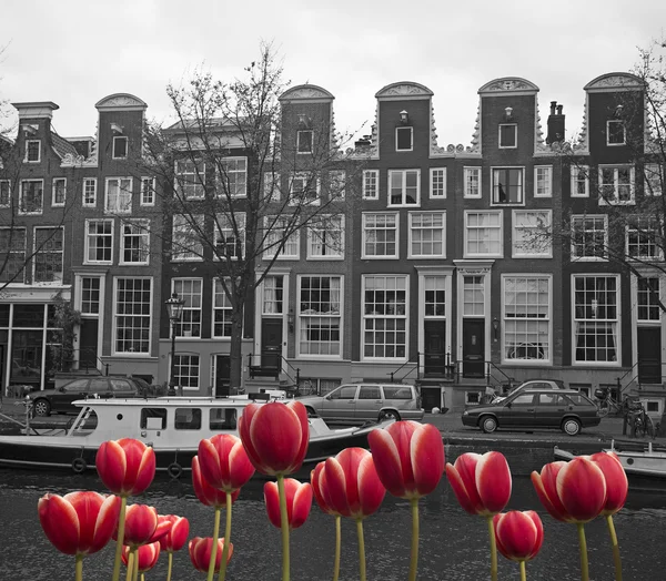 Amsterdam noir et blanc — Photo