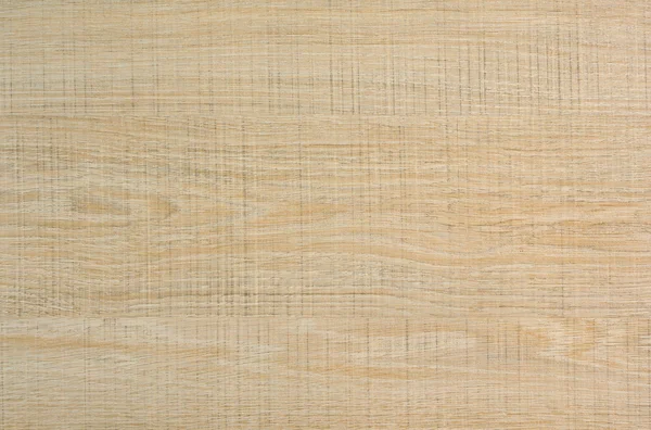Textura de madera de abedul Imagen de stock