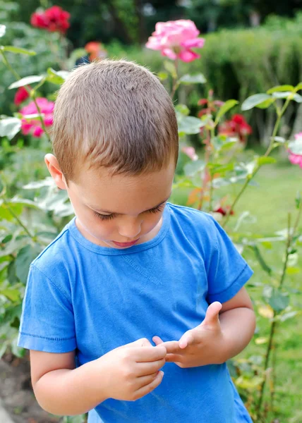 Dítě v růžové zahradě — Stock fotografie
