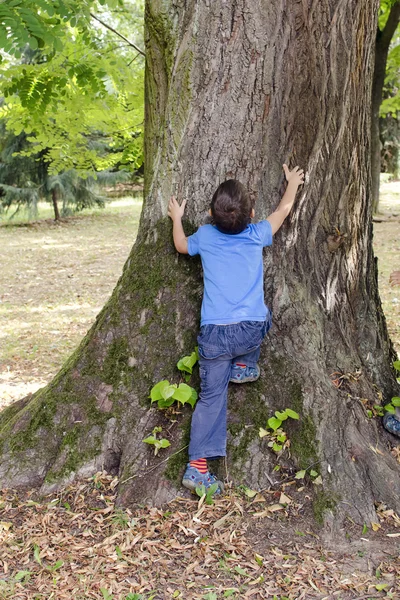 Kind umarmt und klettert Baum — Stockfoto