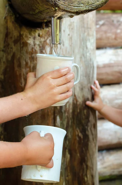 Children filling cups with water at spring — Stock Photo, Image