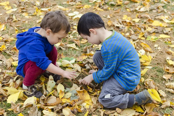 孩子们在秋天的落叶 — 图库照片