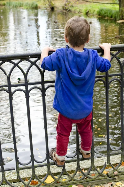 Child on bridge — Stock Photo, Image