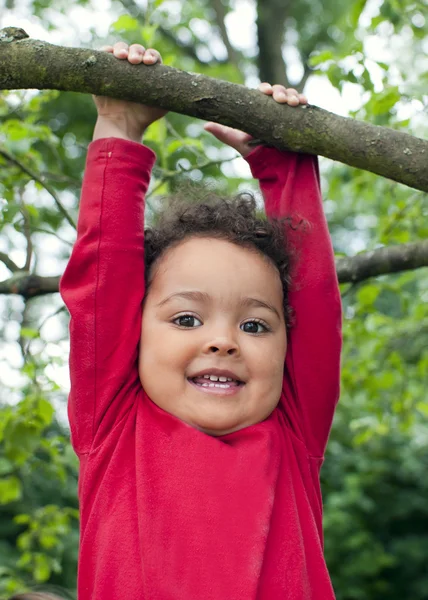 Ребенок висит на ветке дерева — стоковое фото