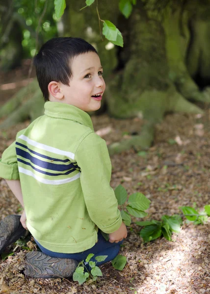 Dziecko pod drzewa w lesie — Zdjęcie stockowe