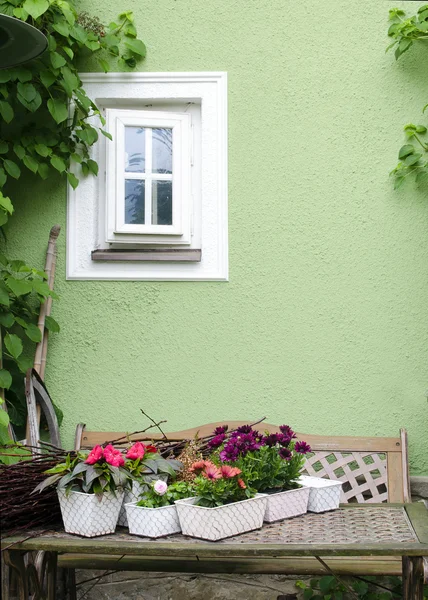 Potted flowes in house garden — Stock Photo, Image