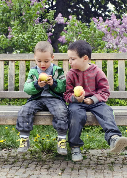 Niños comiendo manzanas —  Fotos de Stock