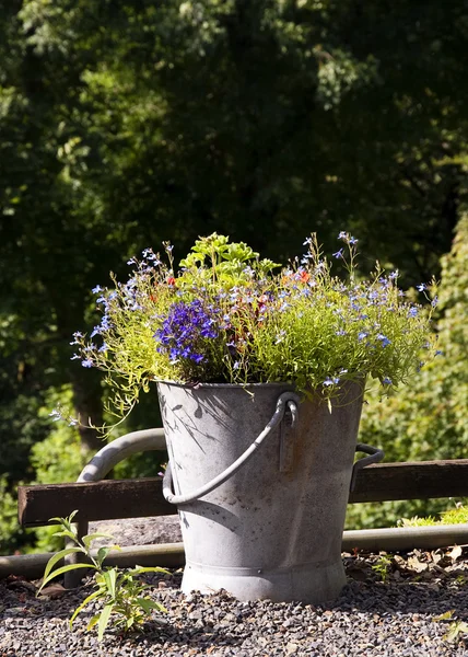 Bucket with plants in garden