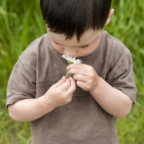 Bambino con margherita — Foto Stock