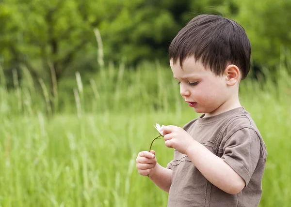 Ребенок с маргариткой — стоковое фото