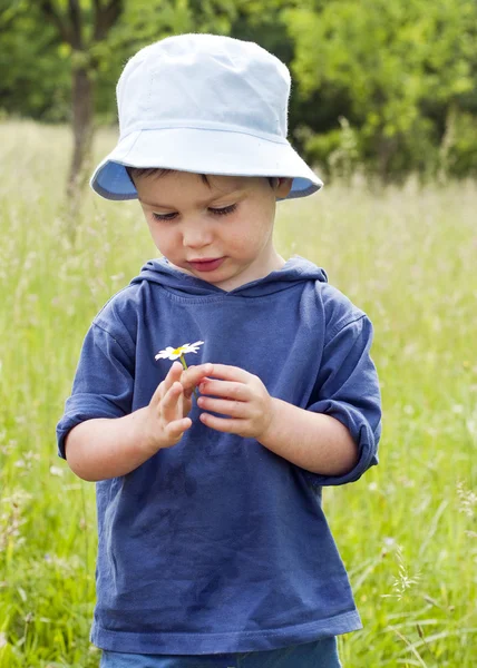 Bambino con margherita — Foto Stock