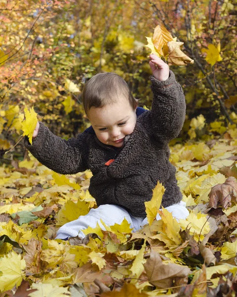 Child with autumn leaves — Stock Photo, Image