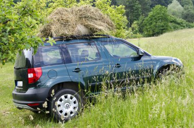 Araba saman ile çiftliğinde
