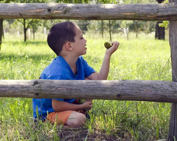 Child eating pear in garden — Stock Photo, Image