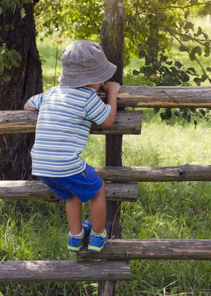 Child climbing the fence — Stock Photo, Image