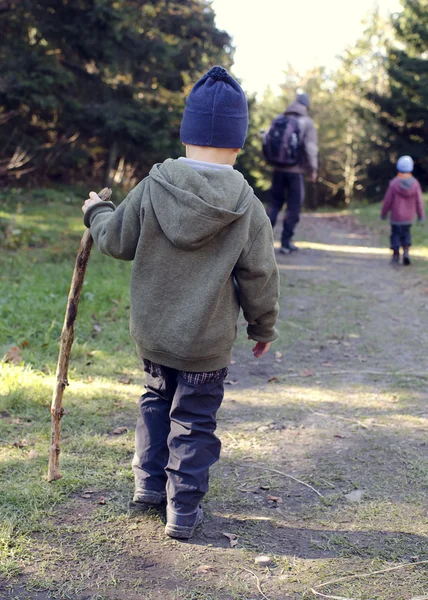 Niño caminando en el bosque —  Fotos de Stock