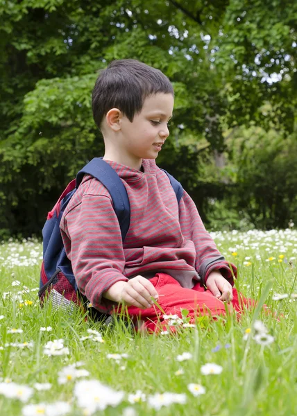 Child picking daisy flowers in spring — Stock Photo, Image