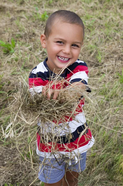 快乐的孩子，用稻草或干草 — 图库照片