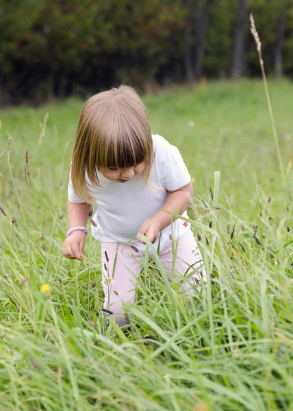 Kind in lange gras — Stockfoto