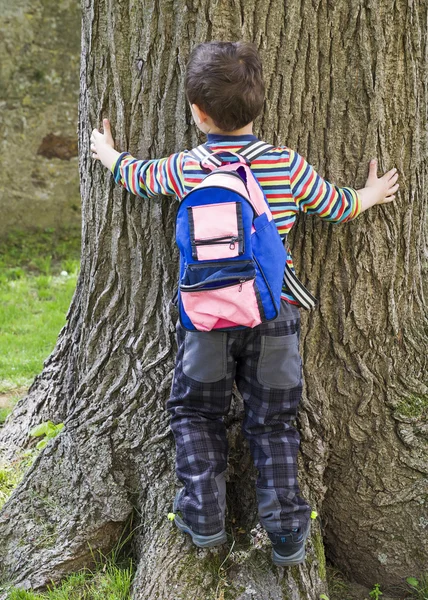 Menino criança abraçando árvore tronco — Fotografia de Stock