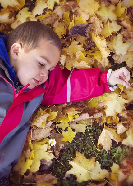 Kind legt sich in Herbstlaub — Stockfoto