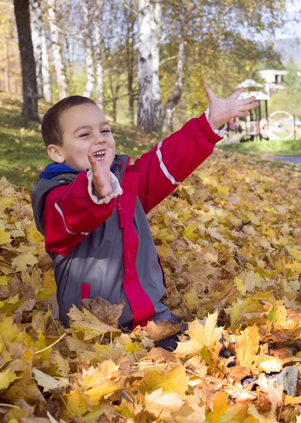 Child playing with autumn leaves — Stock Photo, Image