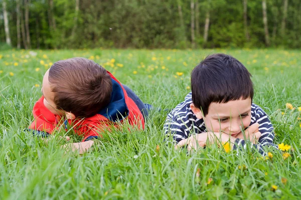 Los niños en la naturaleza primavera —  Fotos de Stock