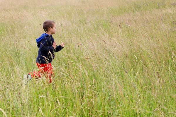 Criança correndo no prado — Fotografia de Stock