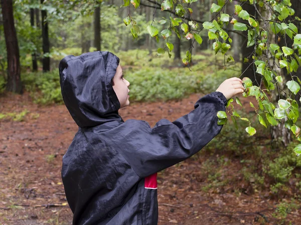 Niño en el bosque — Foto de Stock