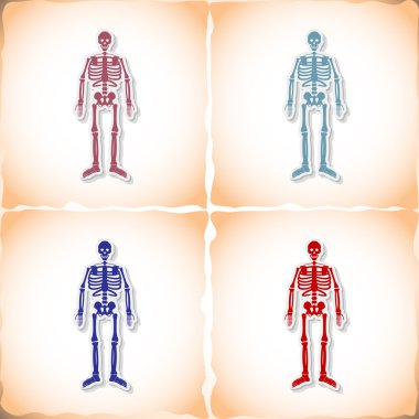 İskelet. Soyut resim tıp nesnesi