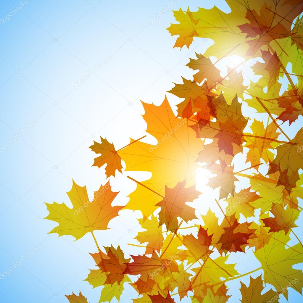 Illustration autumn motif. Maple leaves. Vector background