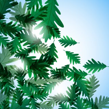 Resimde sonbahar motif. Meşe yaprağı. Vektör arka plan