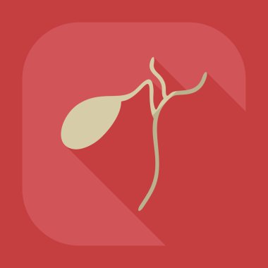 Gölge simgeler dalağı düz modern tasarım