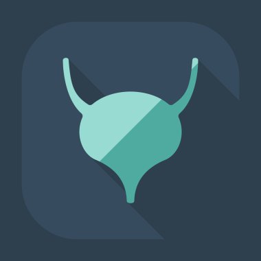 Gölge simgeleri mesane ile düz modern tasarım