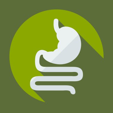 Gölge simgeler mide ile düz modern tasarım